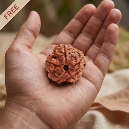 Get Absolutely Free 5 Mukhi Rudraksha